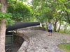 Canons of Vung tau